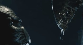 Alien vs predator
