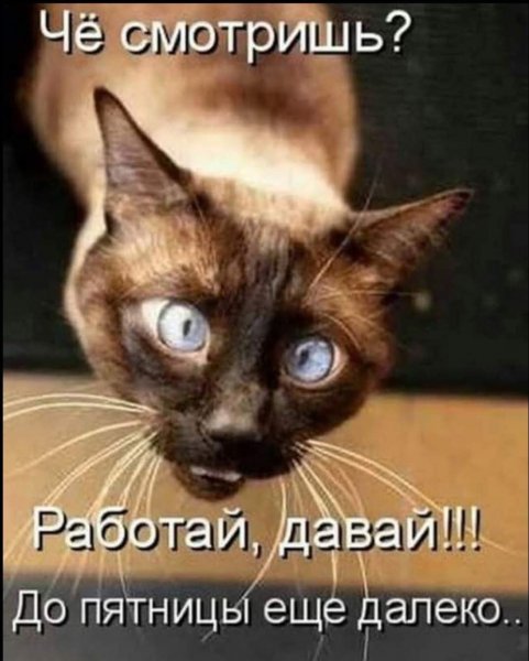 FB IMG 1777318216391