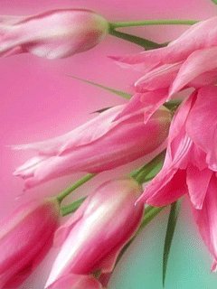 Марина с Днем рождения