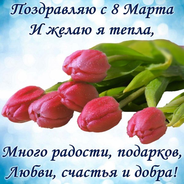 IMG 20220312 185156
