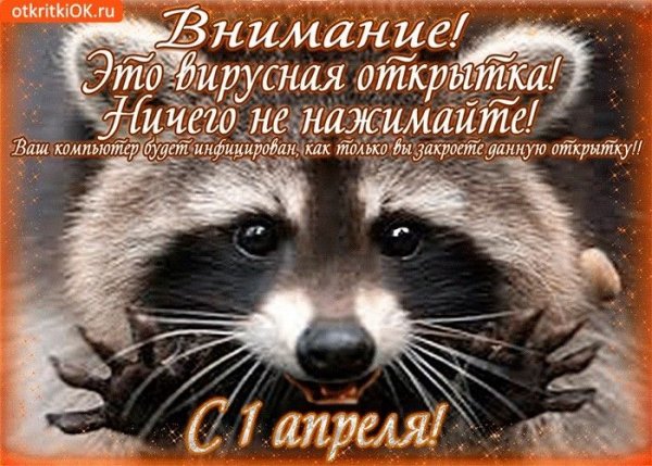 file_90085079