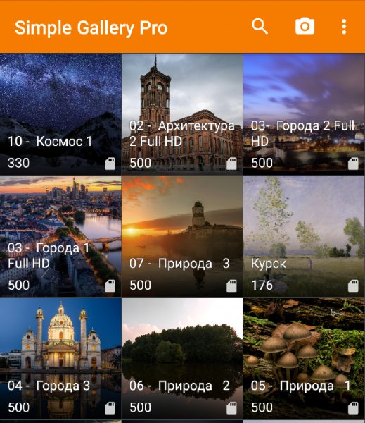 Simple Gallery Pro 6.10.0 (armeabi-v7a)