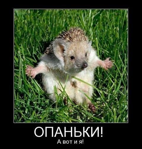 опаньки