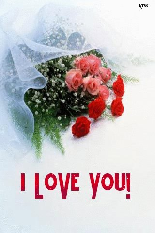 valentin 82