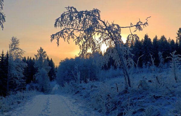 Winter Roads Snow 447374