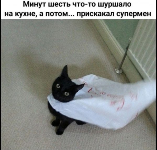 FB IMG 1777018400302