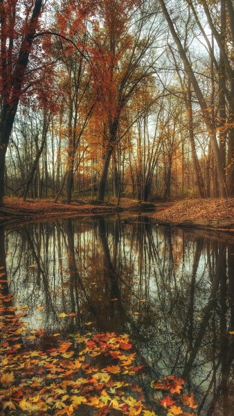 doc13406452 449640464