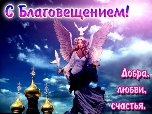 file_81089676