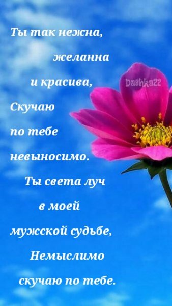 стих 01