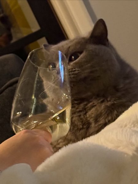 FB IMG 1772379662068