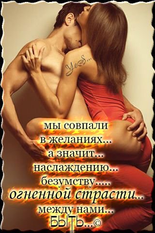 pic42566768
