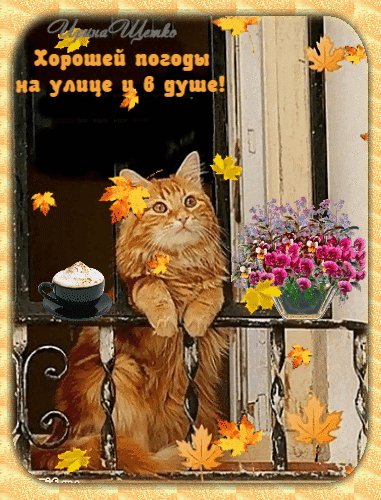 Анимированная открытка хорошей погоды