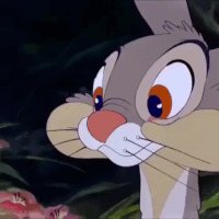 1Vk