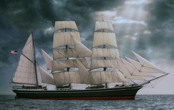 IMG viter59 bark star of india