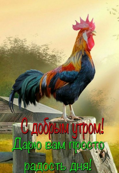 file_93850350