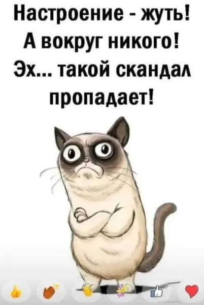 FB IMG 1742230651676