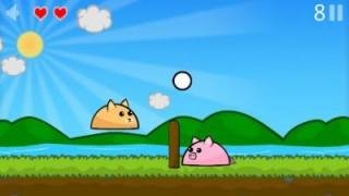 file_28412327