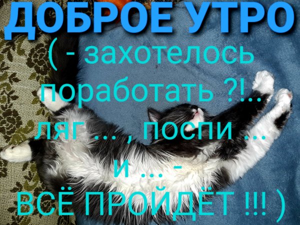 file_89870033