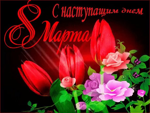 image (40)