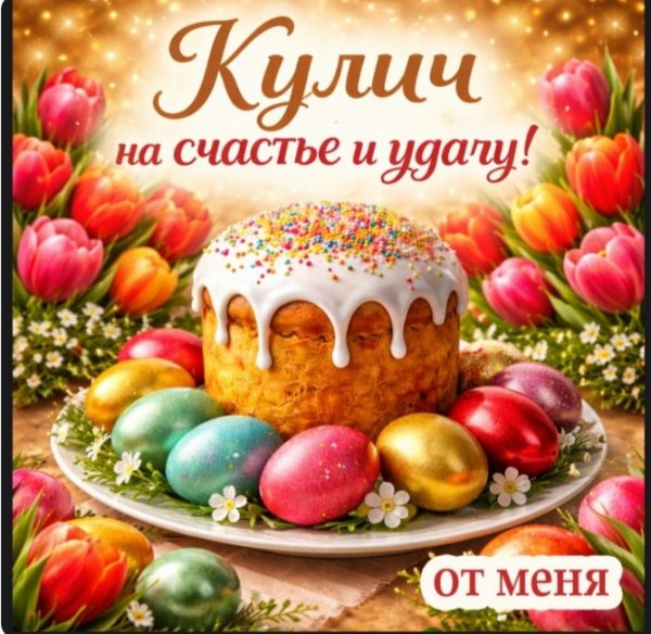 IMG 20260412 204914