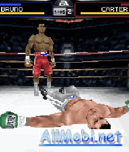 fight-night-round-4 176x208