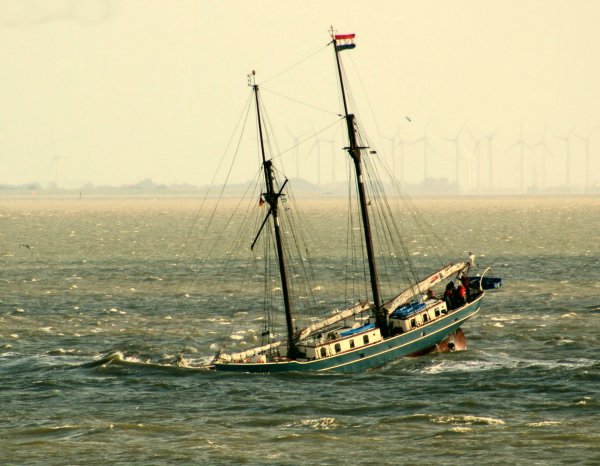 IMG 20200203 093814