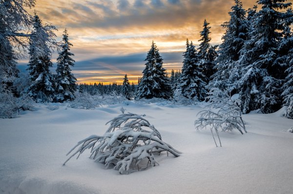 Norvegiia-zima-les-morozno-lillekhammer