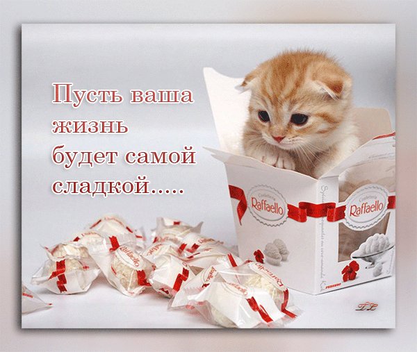 Пусть Ваша жизнь будет самой сладкой!