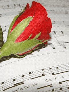 Катюша с 8 марта