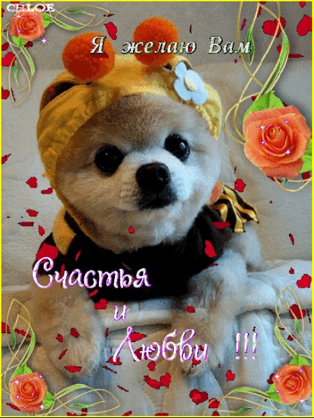 file_90082343