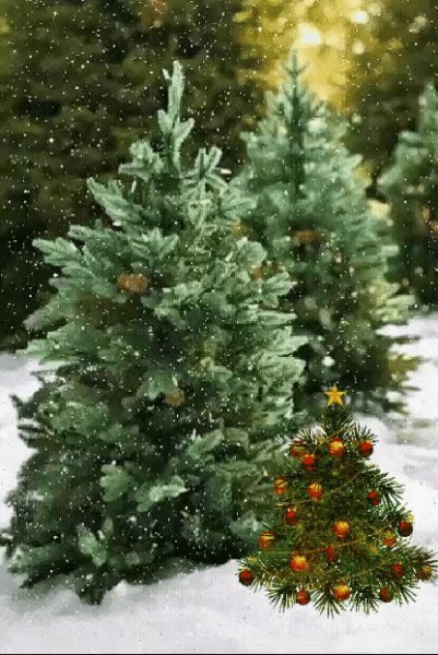 file_95441103