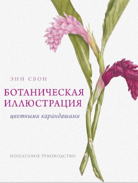 Ботаническая иллюстрация цветными карандашами. Энн Свон