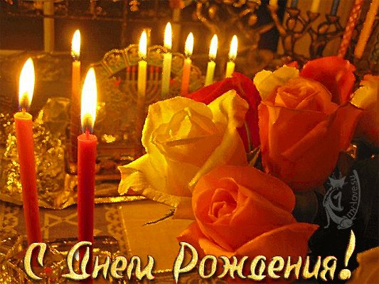 IMG 20181202 679137