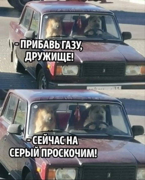 file_99929716
