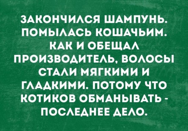 I4-Grkuh-jM