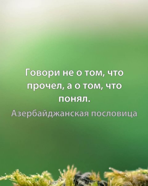 FB IMG 1760545253851