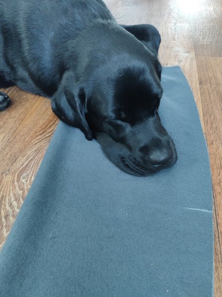 RSFHJMNVCXSFHJJ4R9E2