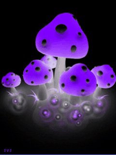 file_44017792
