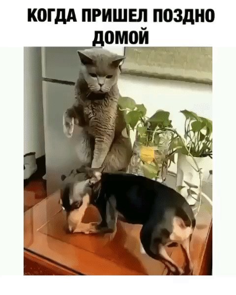 Когда поздно пришёл домой