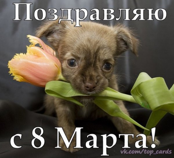 С 8 Марта