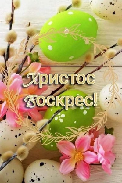 file_93186345