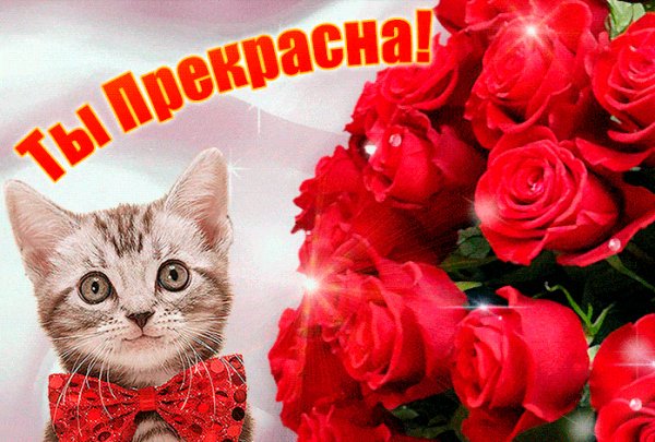 A0a42e22842e47b7b042b8947af3ef5c