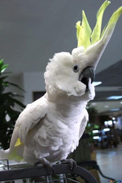 IMG 1757387470576
