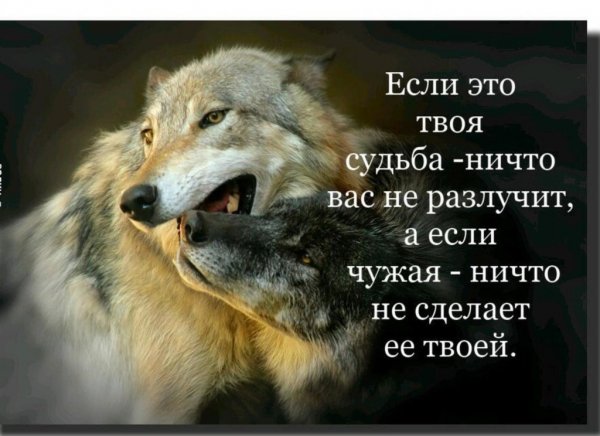 Истина