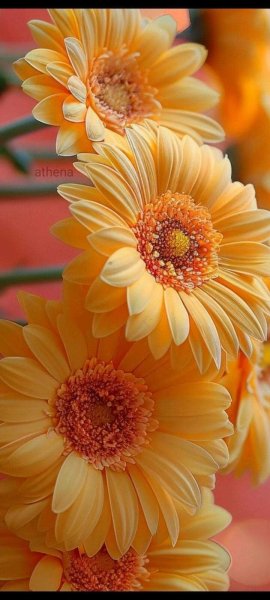 FB IMG 1714793921090