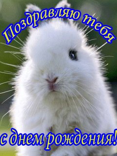 Сестра с Днем рождения