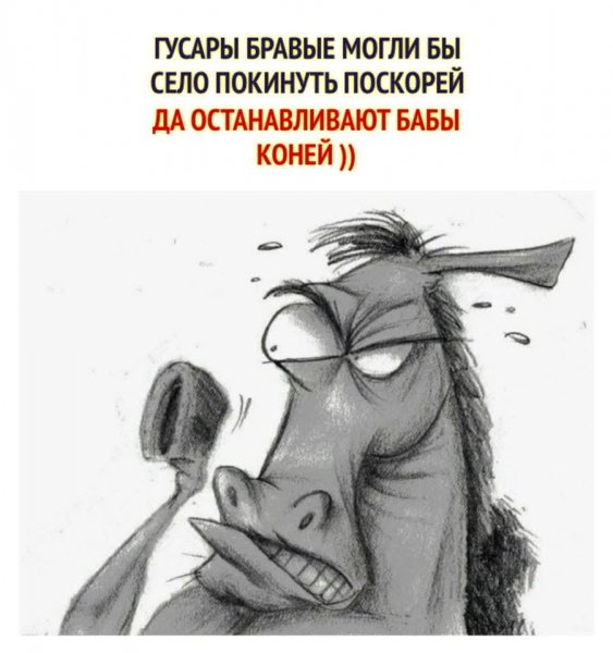 FB IMG 1778003091155