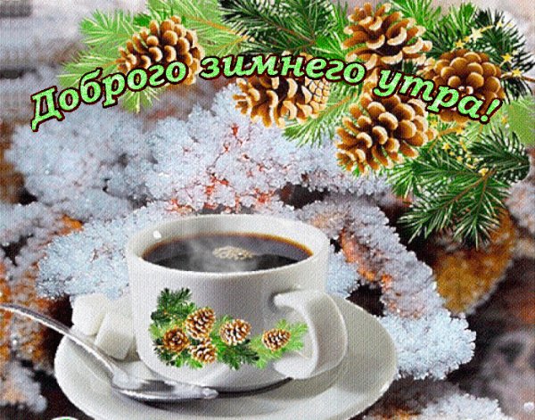 Зим утра