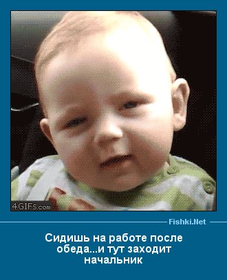 IMG 20151111 072111 32