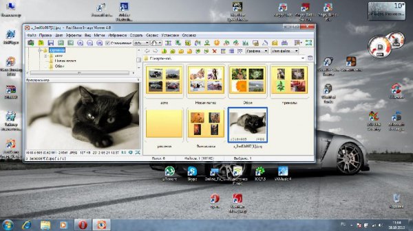 FastStone Image Viewer 4.8 Final